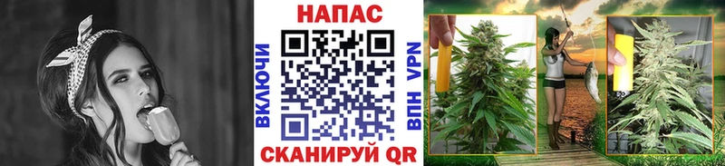 Марихуана OG Kush  Хилок 